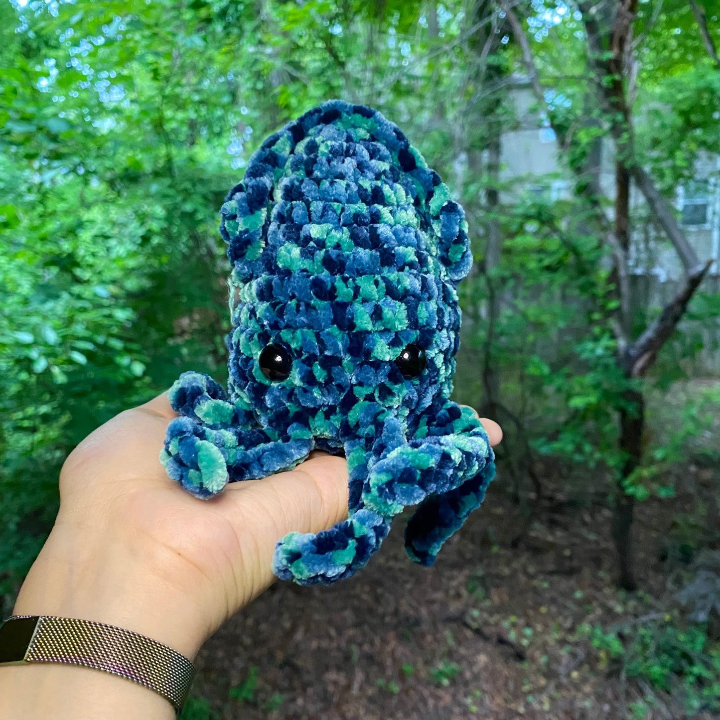 Squid - Artsy & Adorable