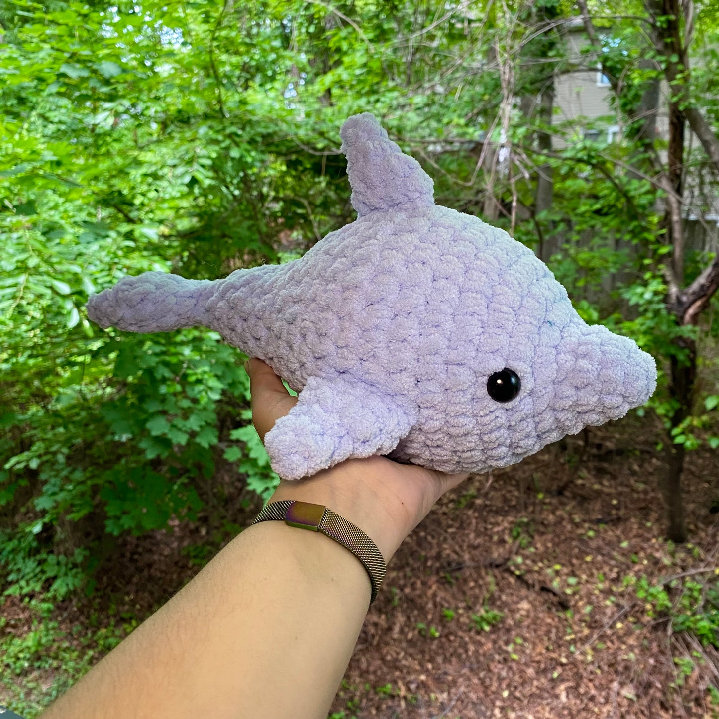 Dolphin - Artsy & Adorable