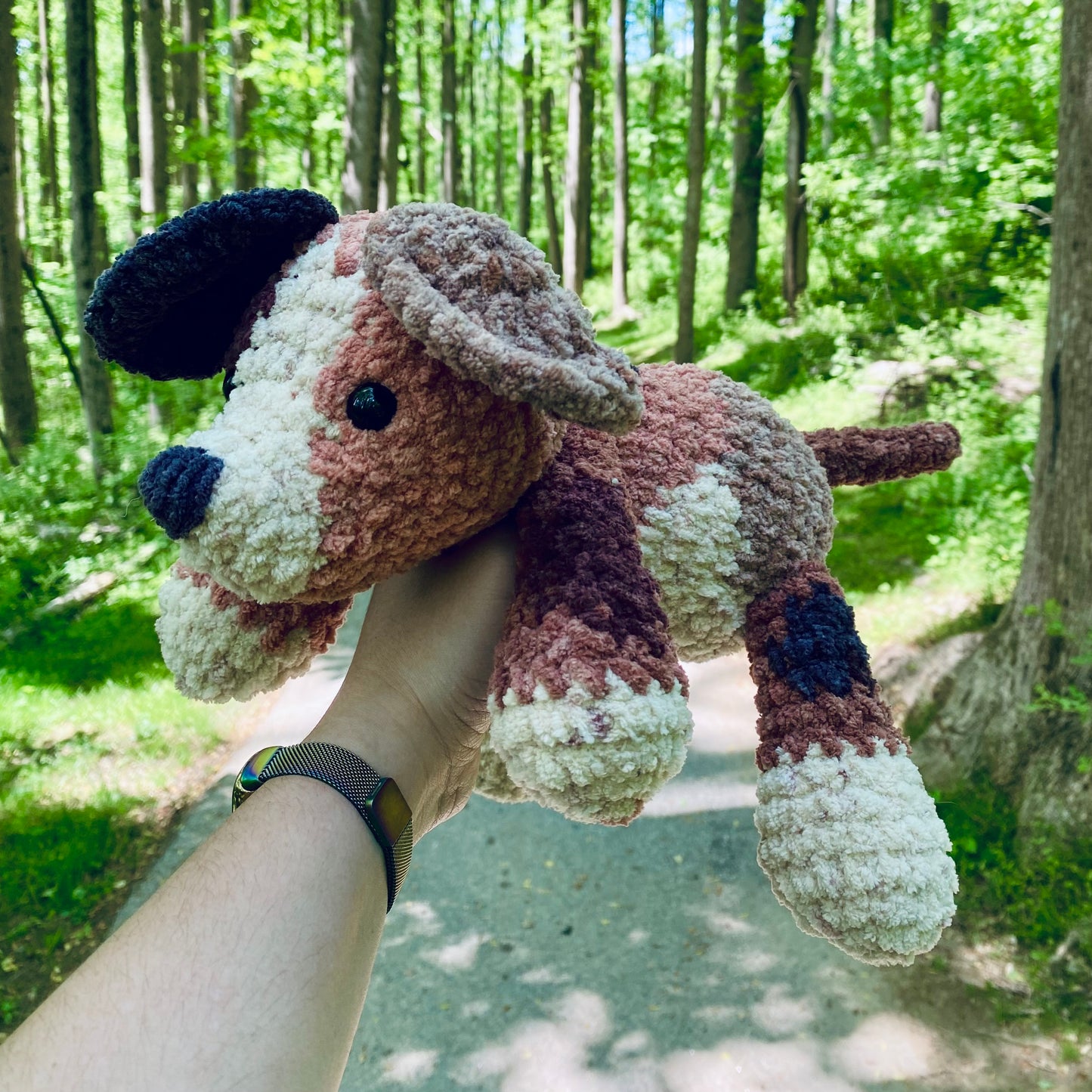 Spotted Puppy