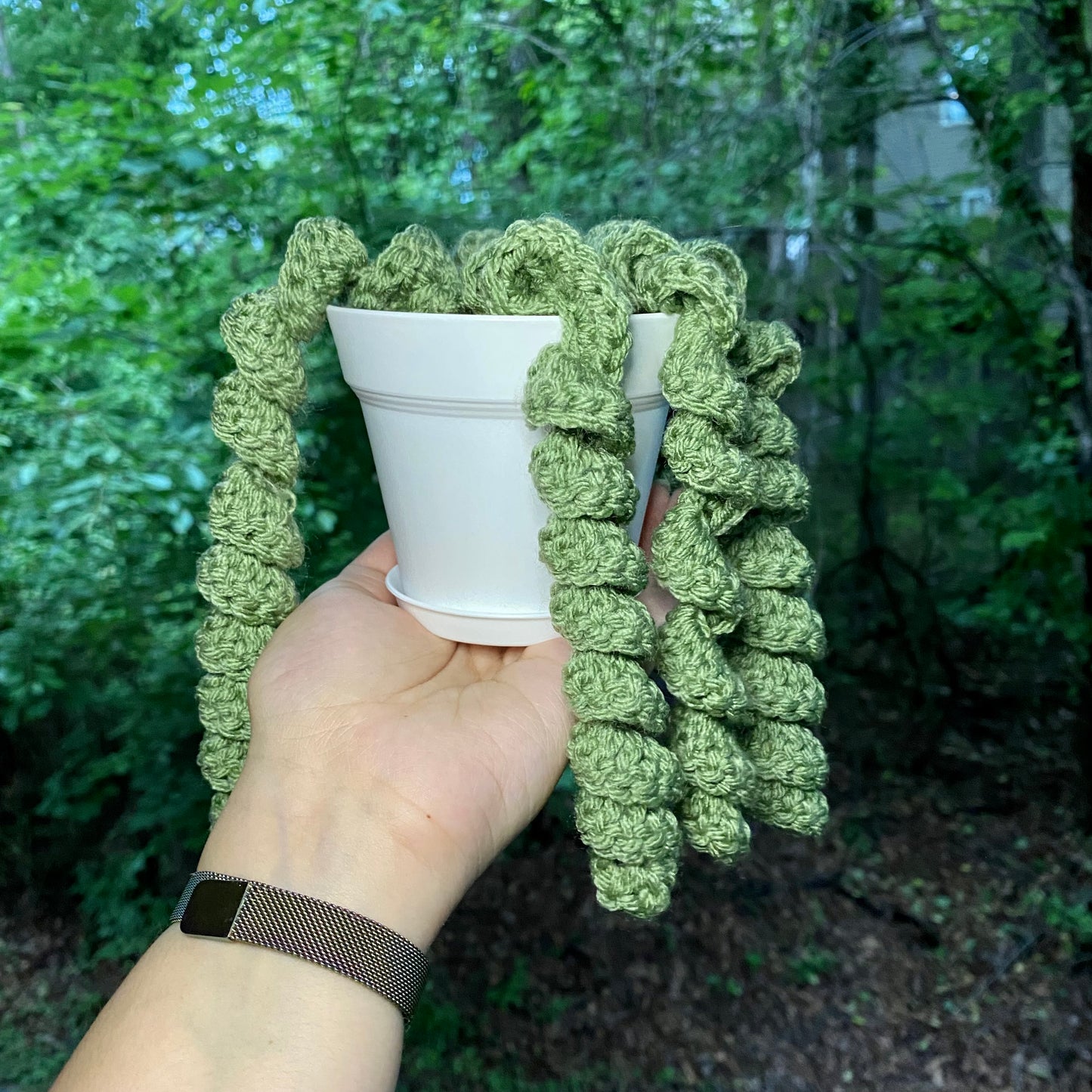 Curly Plant - Artsy & Adorable