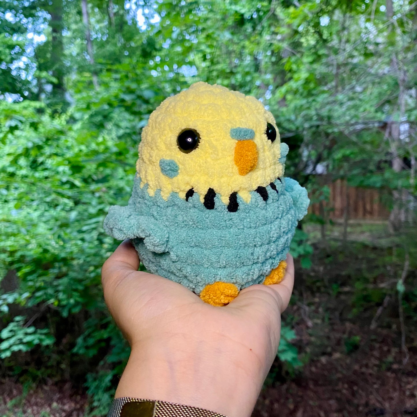 Yellow Budgie