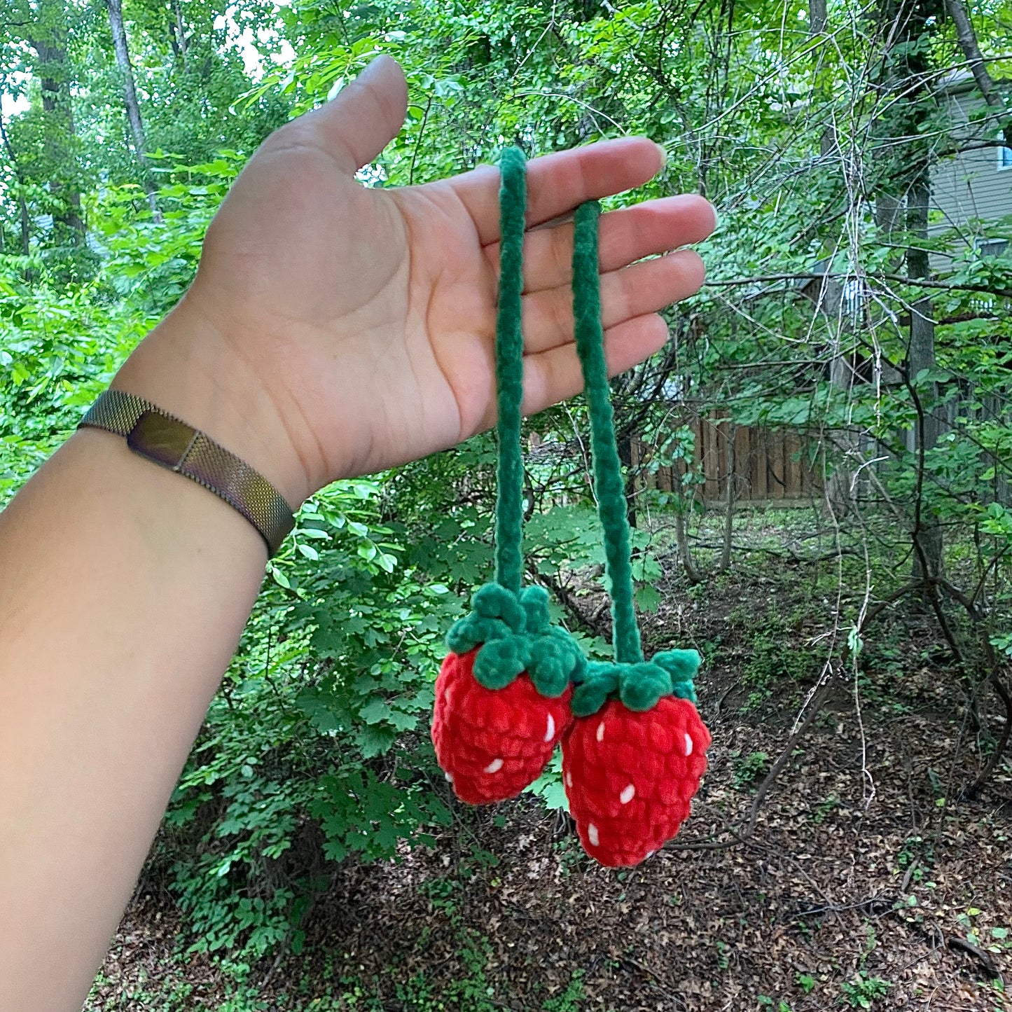 Strawberry Hanger
