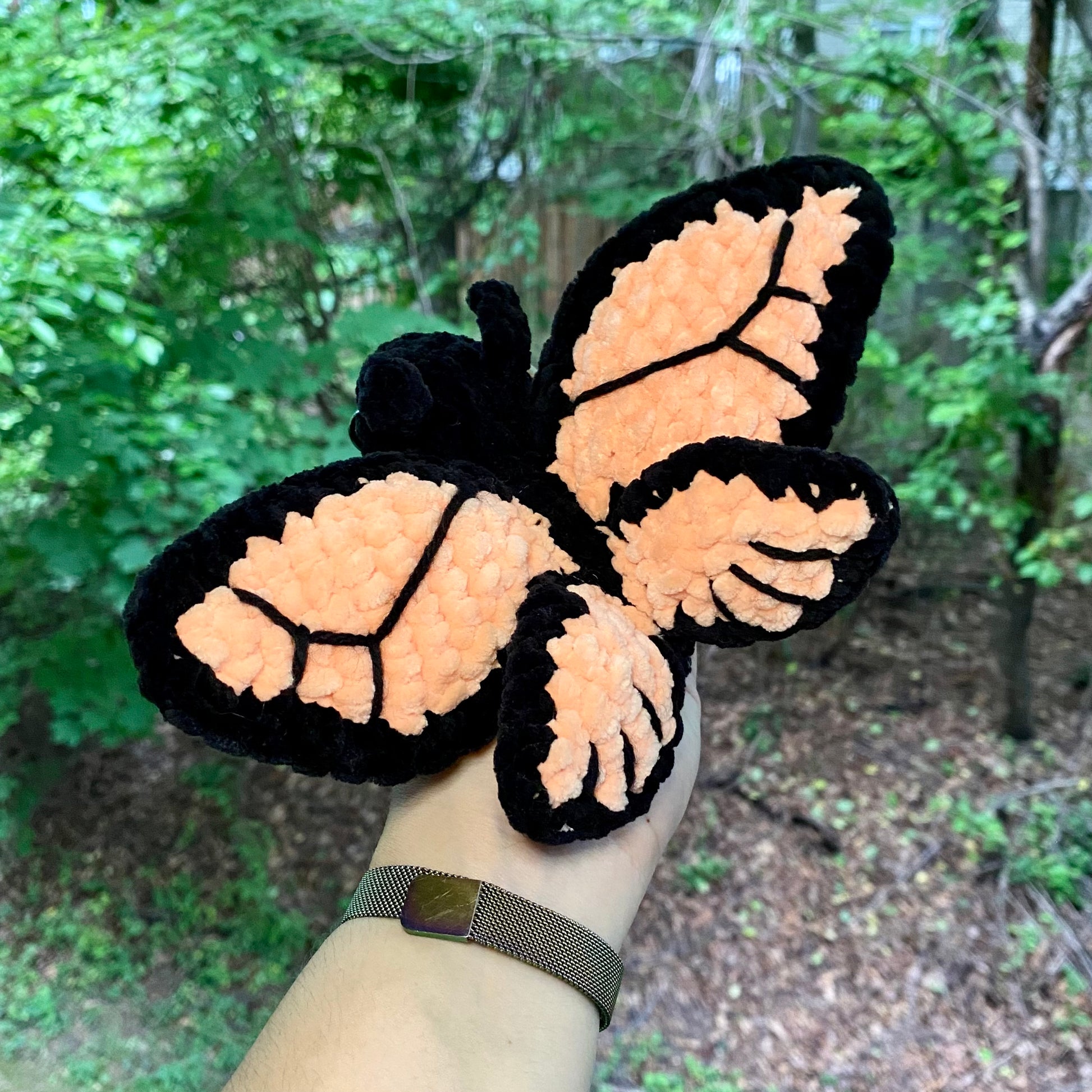 Monarch Butterfly - Artsy & Adorable