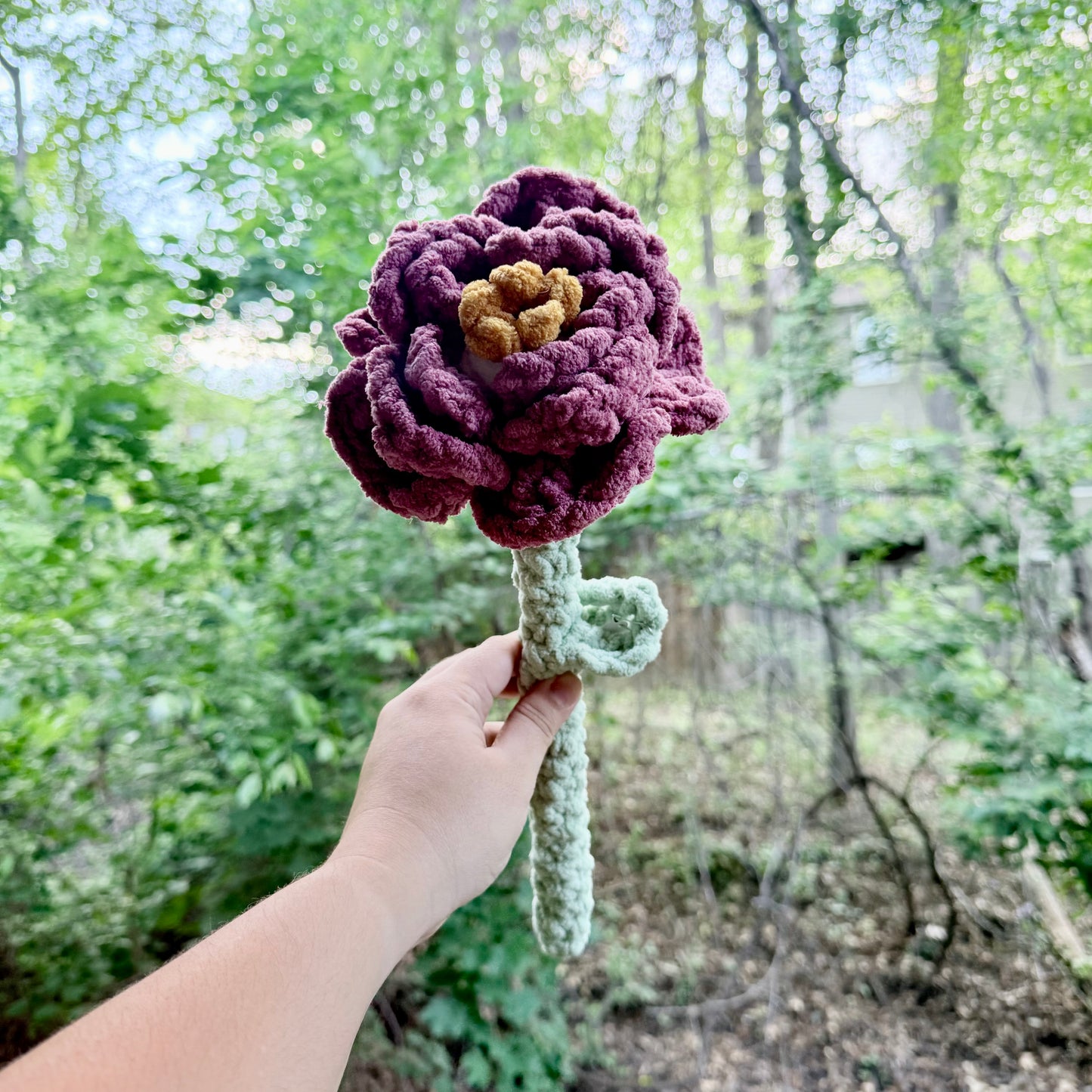 Peonies - Artsy & Adorable