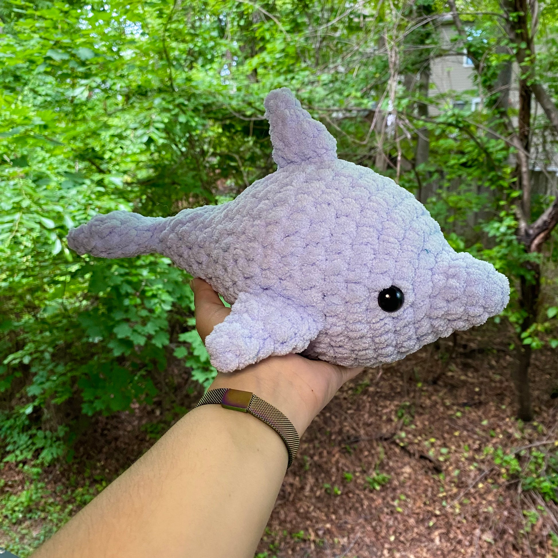 Dolphin - Artsy & Adorable
