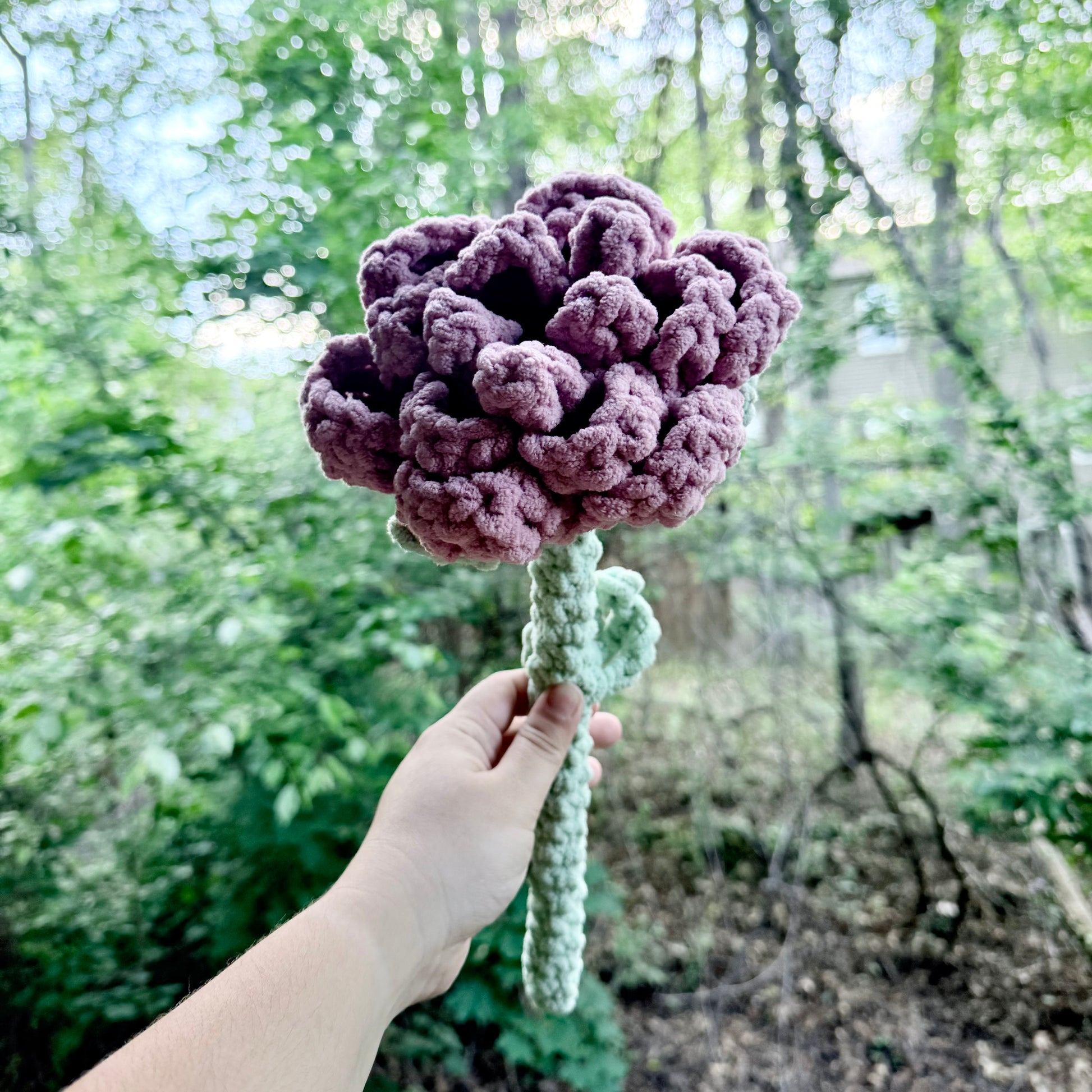 Peonies - Artsy & Adorable