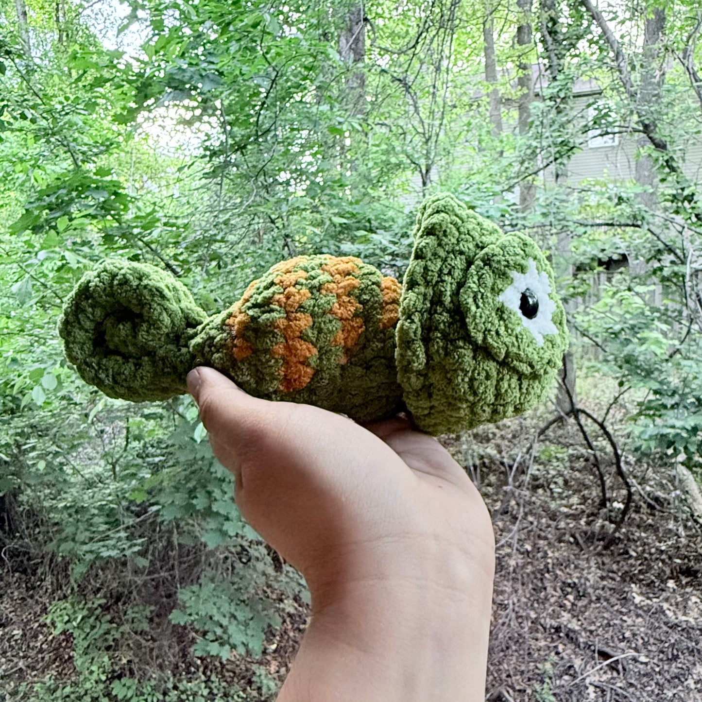 Popping Head Chameleon - Artsy & Adorable
