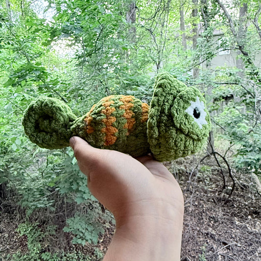 Popping Head Chameleon