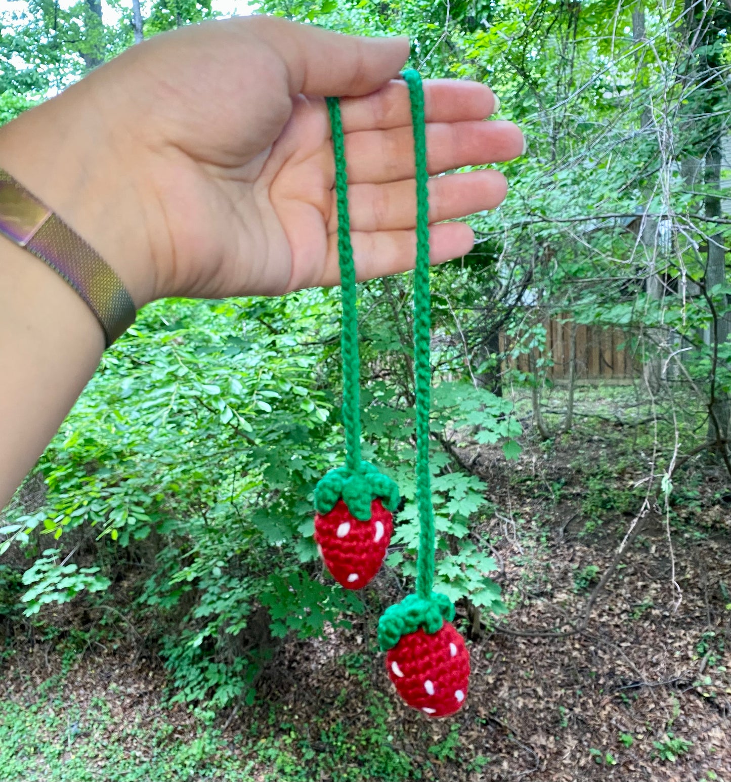 Strawberry Hanger