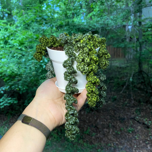 Burro - Artsy & Adorable