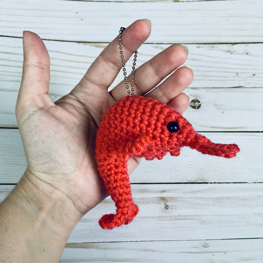 Shrimp - Artsy & Adorable