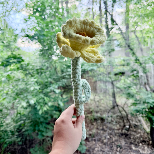 Daffodil