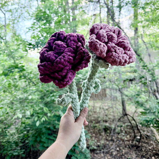 Peonies