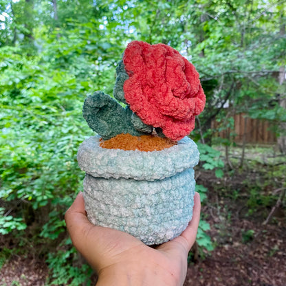 Rose - Artsy & Adorable