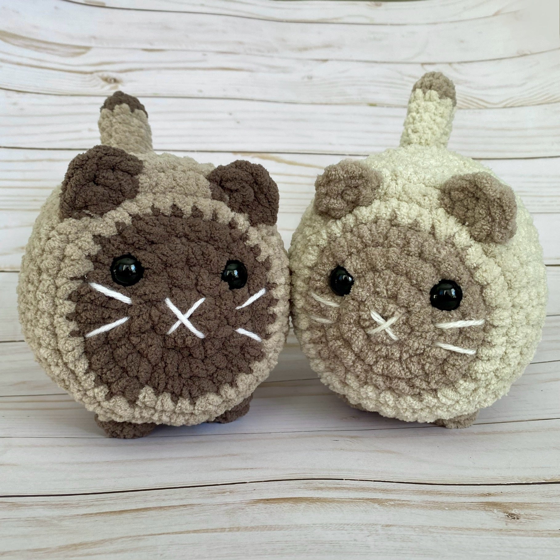 Round Face Loaf Cat - Artsy & Adorable