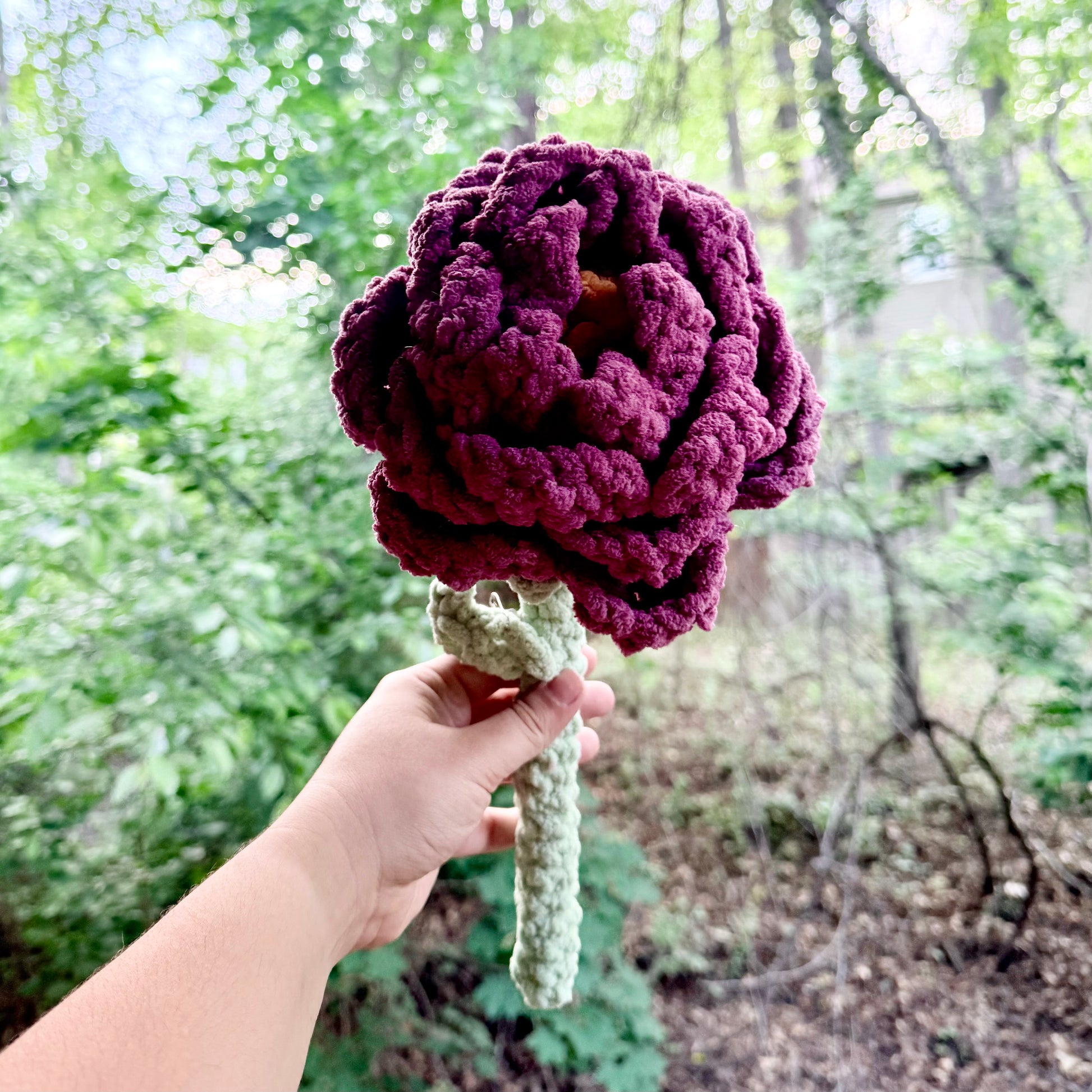 Peonies - Artsy & Adorable