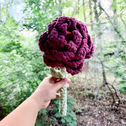 Peonies - Artsy & Adorable