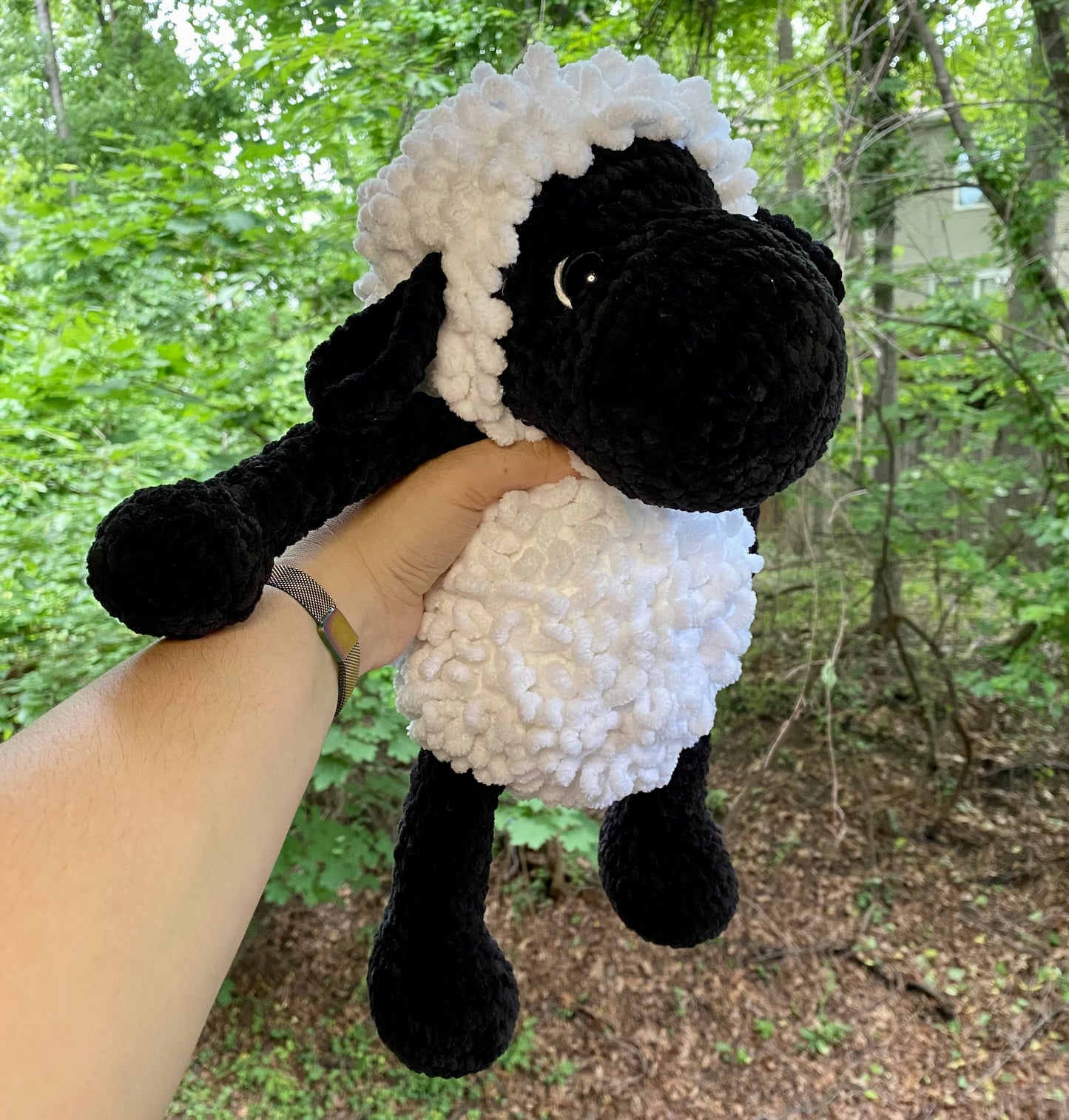 Loopy Sheep